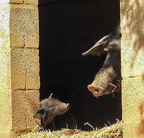 Palacio Viejo de las Corchuelas