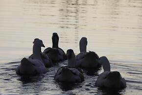 Palacio Viejo de las Corchuelas