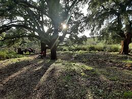 Palacio Viejo de las Corchuelas