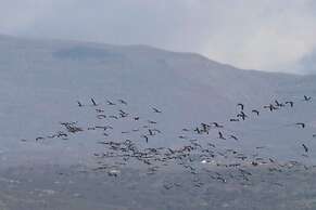 Palacio Viejo de las Corchuelas