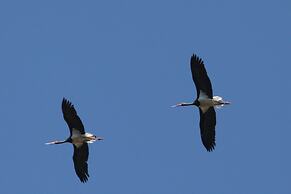 Palacio Viejo de las Corchuelas