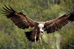 Palacio Viejo de las Corchuelas
