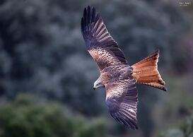 Palacio Viejo de las Corchuelas