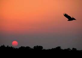 Palacio Viejo de las Corchuelas