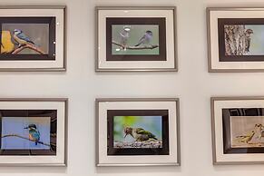 Mamo Florence - Conce Apartment