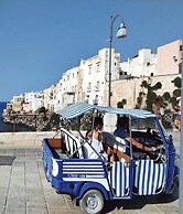 -trulli In The Contrada-