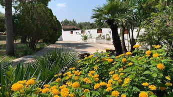 Welcomely - Alfredo in Marangi