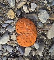 Number 8 Lodge Caer Beris