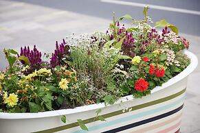 Your Ideal London Getaway - Charming Studio Haven