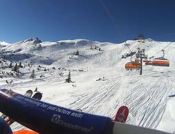 Flachauer Bergkristall