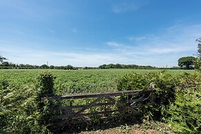 Birds Farm