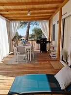 Blue Charm Mobile Home