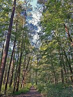 The Lodge at Mammoth Cave