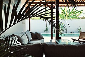 Palm Paradise