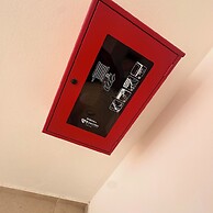 Juan Dolió, Guayacanes, San Pedro de Macorís 203-D