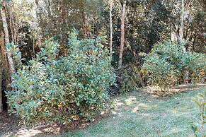 Recanto Lago Negro - Rancho Queimado