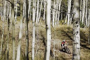 Stagecoach Cabin 5 Bedroom Home by RedAwning