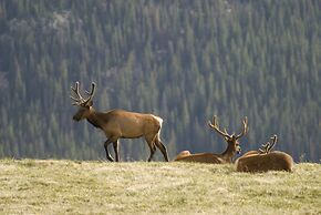 Eagle Ridge 3 Bedroom Townhouse by RedAwning