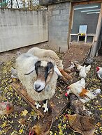 Glamping at Meadeville Farm