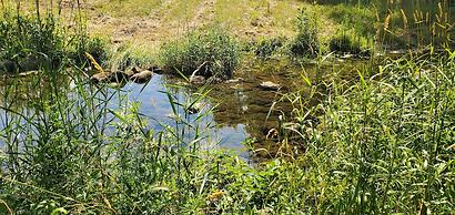 Glamping at Meadeville Farm