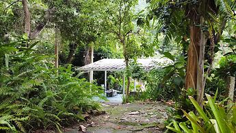 El Yunque Rainforest