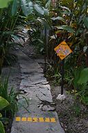 El Yunque Rainforest