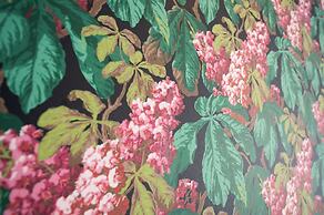 Stay-Inn Bielefeld Zentrum