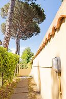 Tirrenia Fronte Mare