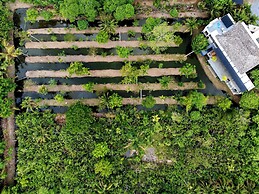 Coconut Lane Bangkok