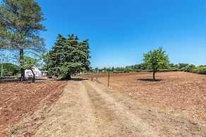 Trullo del Bosco In Martina Franca