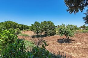 Trullo del Bosco In Martina Franca