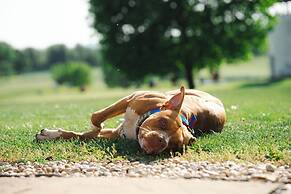 Golf Hotel Austerlitz