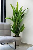 O&O - 2 BR Stylish & Modern Apartment