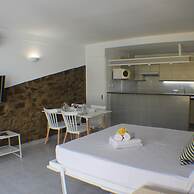 Pi Sunyer 4 2D in Roses