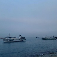 Pi Sunyer 4 2D in Roses