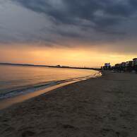 Drugstore A D in Roses