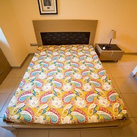 Drugstore A D in Roses