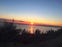 Cosconilles Bajo in Roses