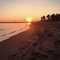 Drugstore B D in Roses