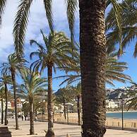 Drugstore B D in Roses