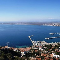 Drugstore B D in Roses