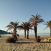 Drugstore B D in Roses