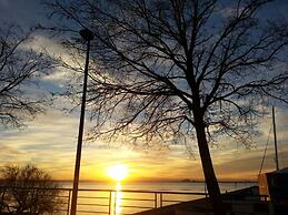 Drugstore A A in Roses