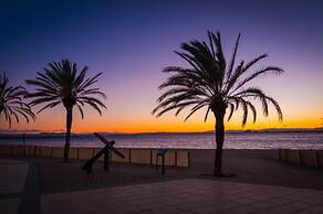 Drugstore A A in Roses