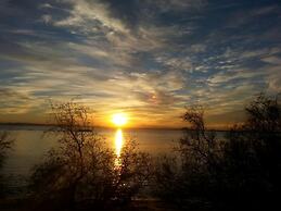 Cosconilles 1 in Roses