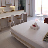 Pi Sunyer 4 4B in Roses