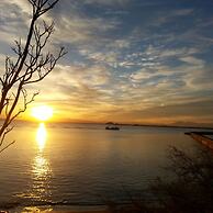 Drugstore A E in Roses