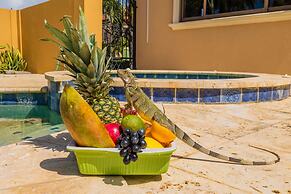 Gold Coast 4br4 5BA Villa w Privatepool Gym