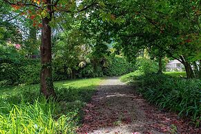 L'Orangerie di Villa Mayer