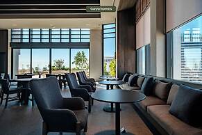 Luxurious 1BR Codo Near Reforma - Pool - Gym